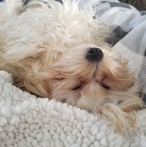 Meet your Posher, Cindy